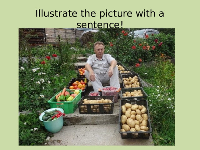Illustrate the picture with a sentence! 