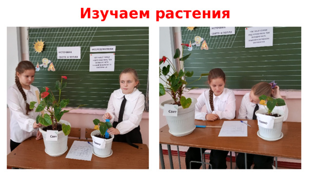 Изучаем растения 