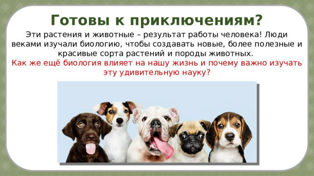 Готовы к приключениям? Эти растения и животные – результат работы человека! Люди веками изучали биологию, чтобы создавать новые, более полезные и красивые сорта растений и породы животных. Как же ещё биология влияет на нашу жизнь и почему важно изучать эту удивительную науку? 7 