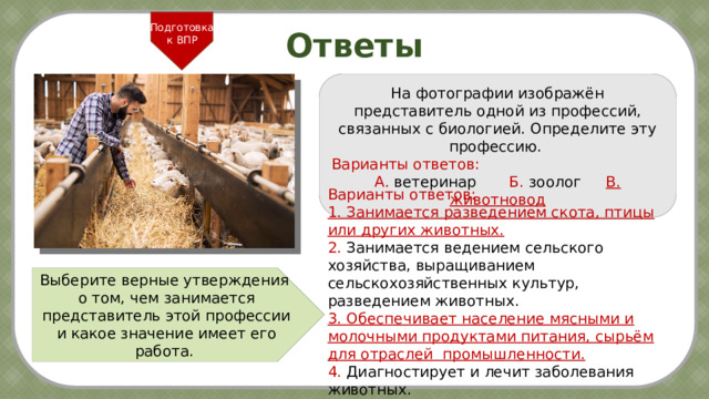 Подготовка к ВПР Ответы На фотографии изображён представитель одной из профессий, связанных с биологией. Определите эту профессию.  Варианты ответов: А. ветеринар  Б. зоолог    В. животновод Варианты ответов: 1. Занимается разведением скота, птицы или других животных. 2. Занимается ведением сельского хозяйства, выращиванием сельскохозяйственных культур, разведением животных. 3. Обеспечивает население мясными и молочными продуктами питания, сырьём для отраслей промышленности. 4. Диагностирует и лечит заболевания животных. Выберите верные утверждения о том, чем занимается представитель этой профессии и какое значение имеет его работа. 5 