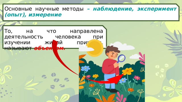 Основные научные методы – наблюдение, эксперимент (опыт), измерение То, на что направлена деятельность человека при изучении живой природы, называют объектом. 