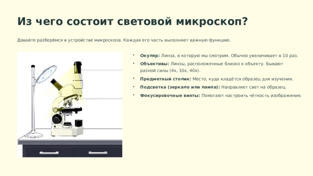  Из чего состоит световой микроскоп? Давайте разберёмся в устройстве микроскопа. Каждая его часть выполняет важную функцию. Окуляр: Линза, в которую мы смотрим. Обычно увеличивает в 10 раз. Объективы: Линзы, расположенные близко к объекту. Бывают разной силы (4x, 10x, 40x). Предметный столик: Место, куда кладётся образец для изучения. Подсветка (зеркало или лампа): Направляет свет на образец. Фокусировочные винты: Помогают настроить чёткость изображения. 