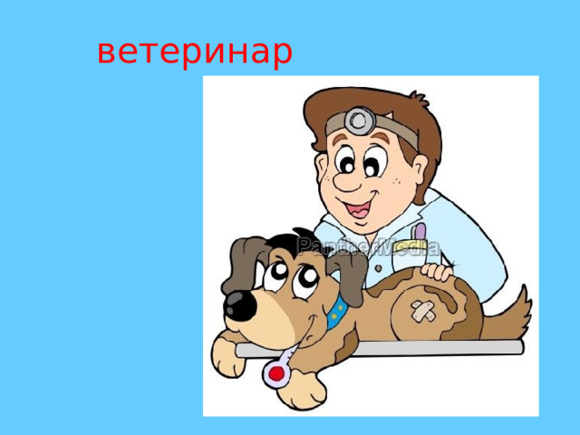 ветеринар 