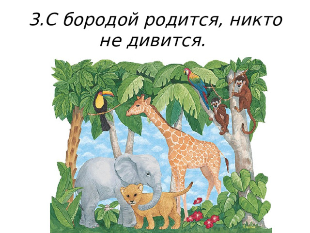 3.С бородой родится, никто не дивится. 