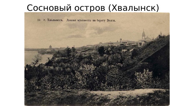 Сосновый остров (Хвалынск) 