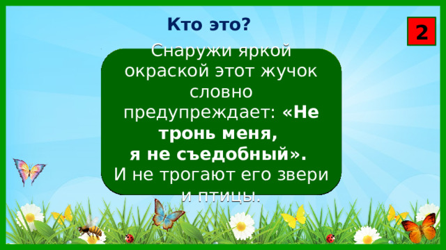 Кто это? 2 Снаружи яркой окраской этот жучок словно предупреждает: «Не тронь меня, я не съедобный». И не трогают его звери и птицы. 