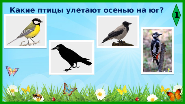 Какие птицы улетают осенью на юг? 1 