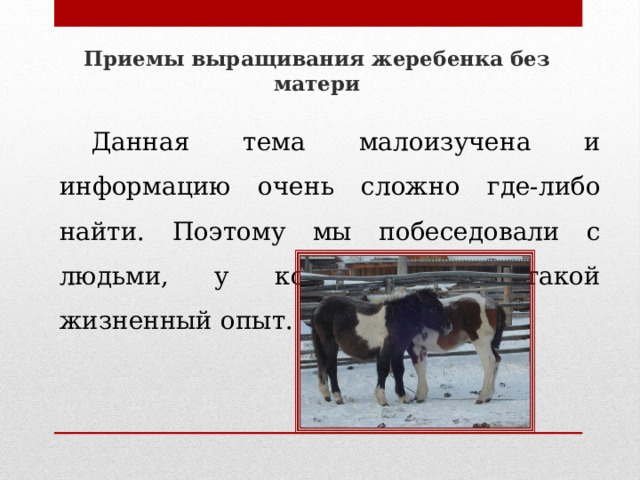 Приемы выращивания жеребенка без матери   Данная тема малоизучена и информацию очень сложно где-либо найти. Поэтому мы побеседовали с людьми, у которых был такой жизненный опыт. 