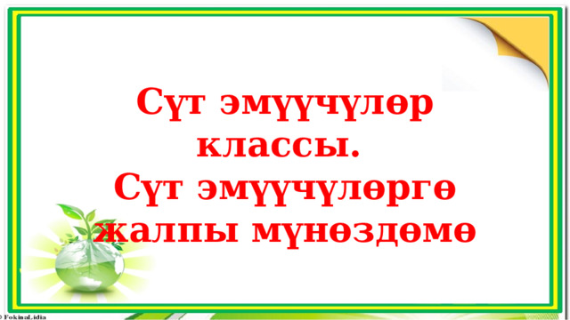 Сүт эмүүчүлөр классы. Сүт эмүүчүлөргө жалпы мүнөздөмө 
