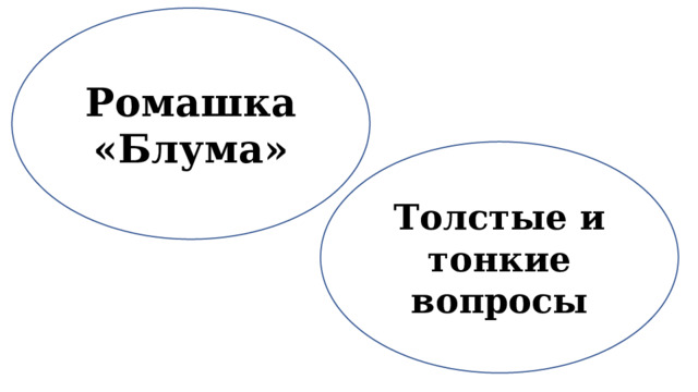 Ромашка «Блума» Толстые и тонкие вопросы 