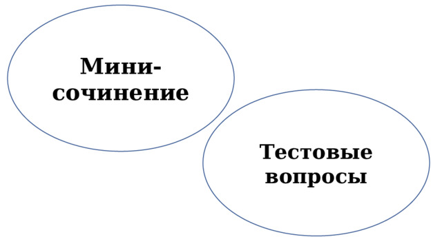 Мини-сочинение Тестовые вопросы 