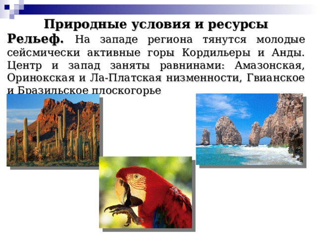 Природные условия и ресурсы Рельеф. На западе региона тянутся молодые сейсмически активные горы Кордильеры и Анды. Центр и запад заняты равнинами: Амазонская, Оринокская и Ла-Платская низменности, Гвианское и Бразильское плоскогорье 