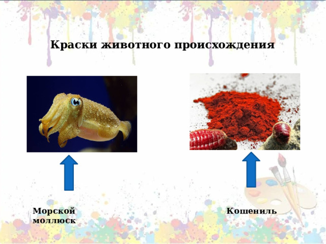 Краски животного происхождения   Морской моллюск Кошениль 