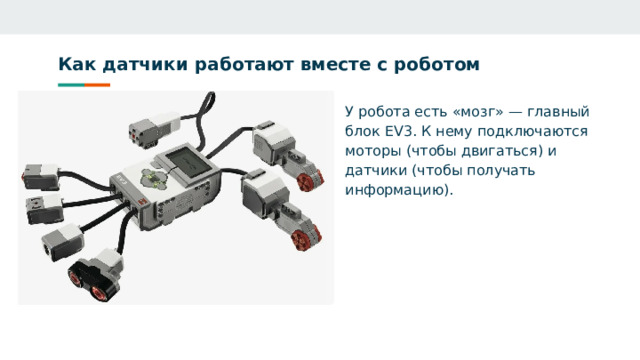 Как датчики работают вместе с роботом У робота есть «мозг» — главный блок EV3. К нему подключаются моторы (чтобы двигаться) и датчики (чтобы получать информацию). 