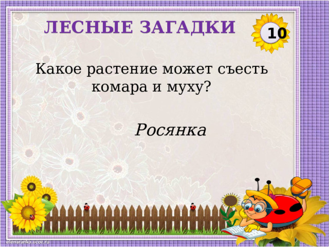 ЛЕСНЫЕ ЗАГАДКИ 10 Какое растение может съесть комара и муху? Росянка  