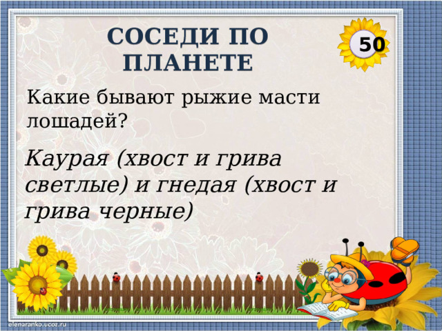 СОСЕДИ ПО ПЛАНЕТЕ 50 Какие бывают рыжие масти лошадей? Каурая (хвост и грива светлые) и гнедая (хвост и грива черные)  