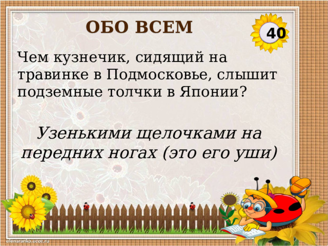 ОБО ВСЕМ 40 Чем кузнечик, сидящий на травинке в Подмосковье, слышит подземные толчки в Японии? Узенькими щелочками на передних ногах (это его уши)  