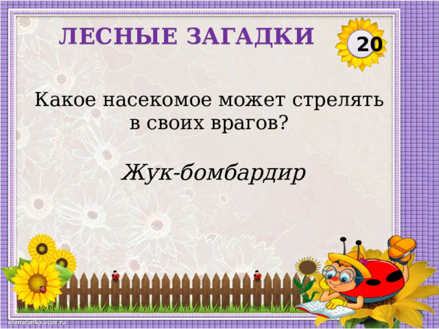 ЛЕСНЫЕ ЗАГАДКИ 20 Какое насекомое может стрелять в своих врагов? Жук-бомбардир  