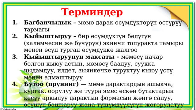Терминдер Багбанчылык – мөмө дарак өсүмдүктөрүн өстүрүү тармагы Кыйыштыруу – бир өсүмдүктүн бөлүгүн (калемчесин же бүчүрүн) экинчи топуракта тамыры менен өсүп турган өсүмдүккө жалгоо Кыйыштыруунун максаты - мөмөсү начар болгон кыюу астын, мөмөсү баалуу, суукка чыдамдуу, илдет, зыянкечке туруктуу кыюу үстү менен алмаштыруу Бутоо (прунинг) — мөмө дарактардын ашыкча, кургак, оорулуу же туура эмес өскөн бутактарын кесүү аркылуу дарактын формасын жөнгө салуу, өсүшүн башкаруу жана түшүмдүүлүгүн жогорулатуу агротехникалык ыкмасы.  