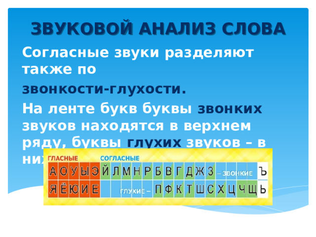 ЗВУКОВОЙ АНАЛИЗ СЛОВА Согласные звуки разделяют также по звонкости-глухости. На ленте букв буквы звонких звуков находятся в верхнем ряду, буквы глухих звуков – в нижнем ряду. 