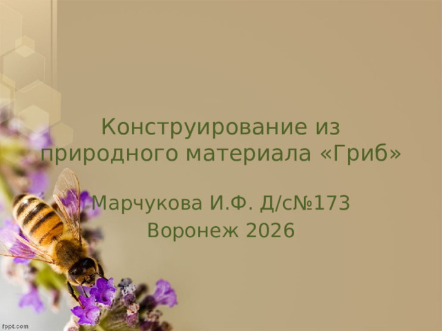 Конструирование из природного материала «Гриб» Марчукова И.Ф. Д/с№173 Воронеж 2026 