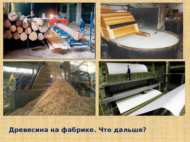 Древесина на фабрике. Что дальше? 