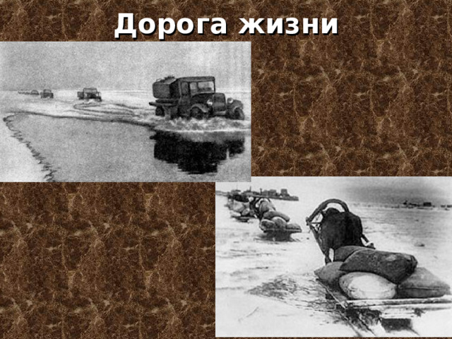 Дорога жизни 