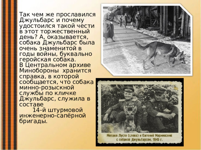 Так чем же прославился Джульбарс и почему удостоился такой чести в этот торжественный день? А, оказывается, собака Джульбарс была очень знаменитой в годы войны, буквально геройская собака.  В Центральном архиве Минобороны  хранится справка, в которой сообщается, что собака минно-розыскной службы по кличке Джульбарс, служила в  составе 14-й штурмовой инженерно-сапёрной бригады.   