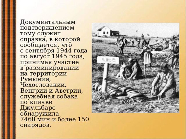 Документальным подтверждением тому служит справка, в которой сообщается, что с сентября 1944 года по август 1945 года, принимая участие в разминировании на территории Румынии, Чехословакии, Венгрии и Австрии, служебная собака по кличке Джульбарс обнаружила 7468 мин и более 150 снарядов. 