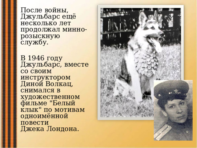 После войны, Джульбарс ещё несколько лет продолжал минно-розыскную  службу. В 1946 году Джульбарс, вместе со своим инструктором Диной Волкац, снимался в  художественном фильме 