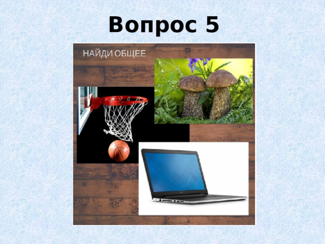 Вопрос 5 