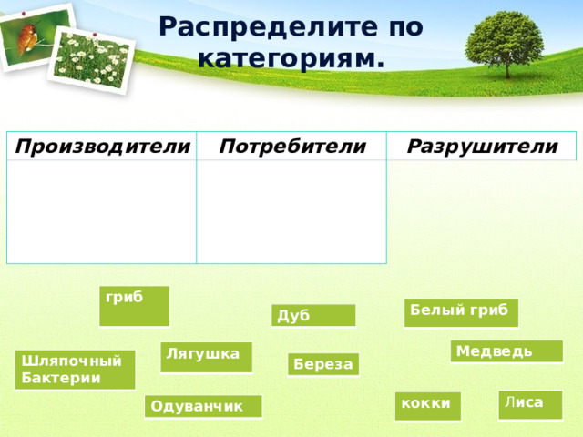 Распределите по категориям. Производители Потребители Разрушители гриб Белый гриб Дуб Медведь Лягушка Шляпочный Бактерии Береза Л иса кокки Одуванчик  