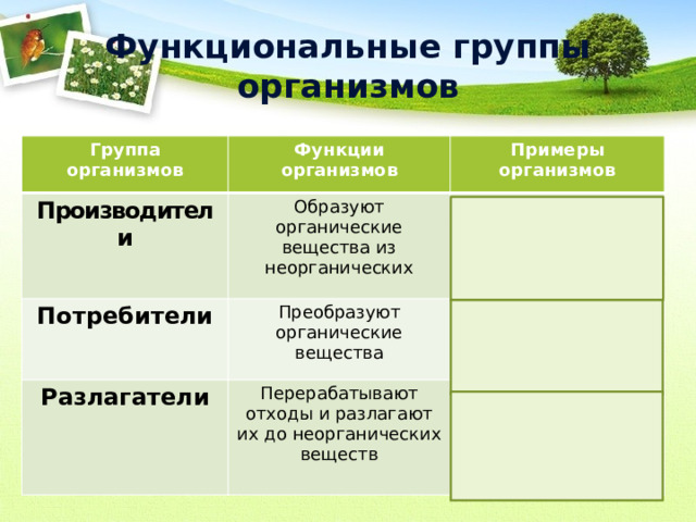 Функциональные группы организмов Группа организмов Функции Производители организмов Потребители Примеры Образуют органические вещества из неорганических Преобразуют органические вещества организмов Разлагатели Растения Животные Перерабатывают отходы и разлагают их до неорганических веществ  Бактерии Грибы  