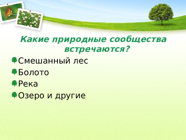 Какие природные сообщества встречаются? Смешанный лес Болото Река Озеро и другие 
