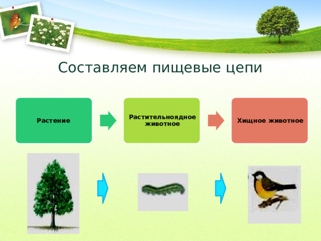 Составляем пищевые цепи Растение Растительноядное животное Хищное животное 