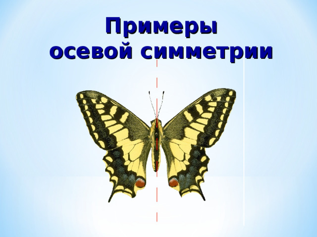 Примеры осевой симметрии  