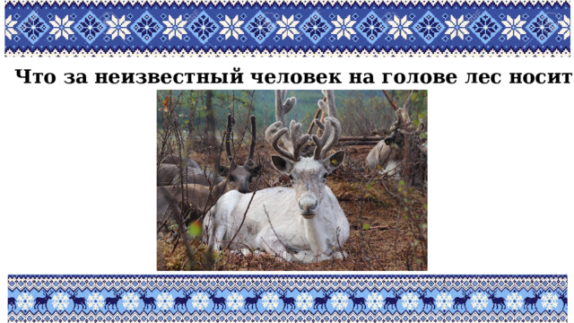 Что за неизвестный человек на голове лес носит? 