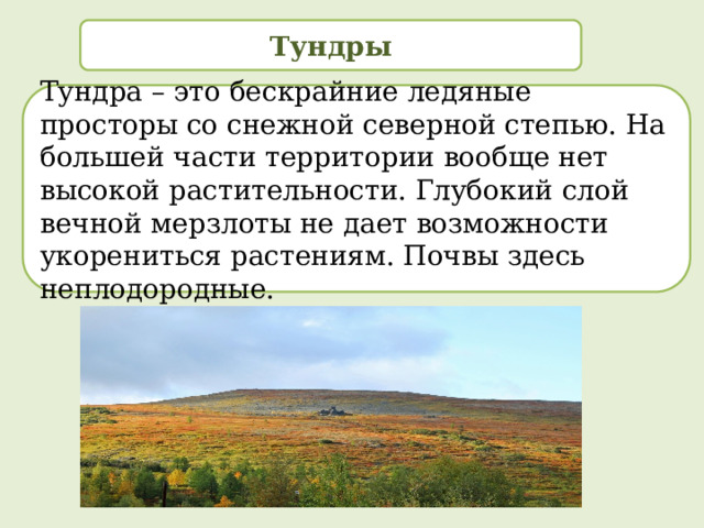 Тундры Тундра – это бескрайние ледяные просторы со снежной северной степью. На большей части территории вообще нет высокой растительности. Глубокий слой вечной мерзлоты не дает возможности укорениться растениям. Почвы здесь неплодородные. 
