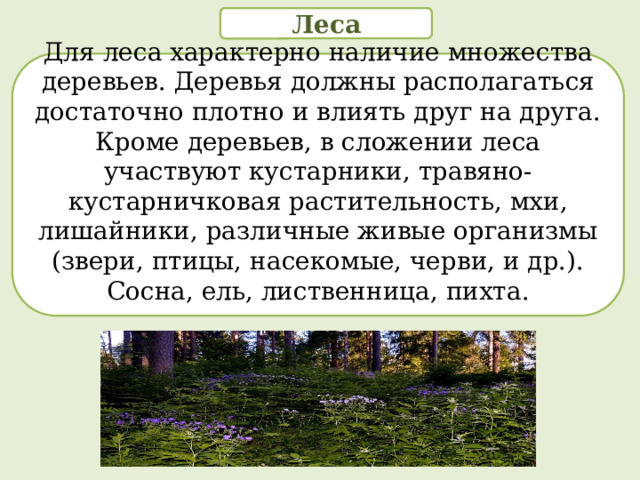 Леса Для леса характерно наличие множества деревьев. Деревья должны располагаться достаточно плотно и влиять друг на друга. Кроме деревьев, в сложении леса участвуют кустарники, травяно-кустарничковая растительность, мхи, лишайники, различные живые организмы (звери, птицы, насекомые, черви, и др.). Сосна, ель, лиственница, пихта.  