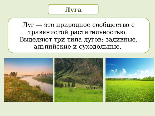 Луга Луг — это природное сообщество с травянистой растительностью. Выделяют три типа лугов: заливные, альпийские и суходольные.  