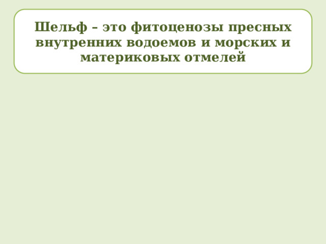 Шельф – это фитоценозы пресных внутренних водоемов и морских и материковых отмелей 
