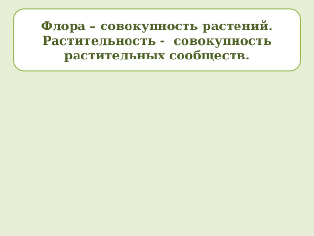 Флора – совокупность растений. Растительность - совокупность растительных сообществ. 