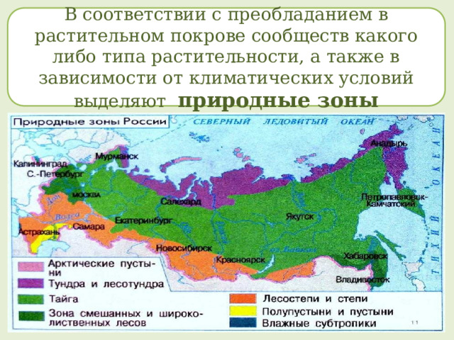 В соответствии с преобладанием в растительном покрове сообществ какого либо типа растительности, а также в зависимости от климатических условий выделяют природные зоны 