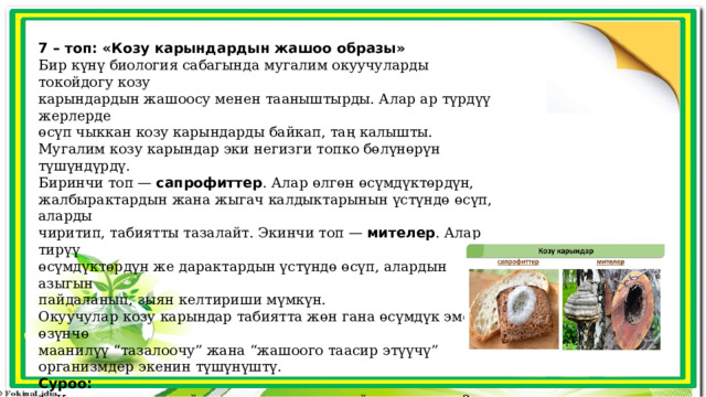 7 – топ: «Козу карындардын жашоо образы» Бир күнү биология сабагында мугалим окуучуларды токойдогу козу карындардын жашоосу менен тааныштырды. Алар ар түрдүү жерлерде өсүп чыккан козу карындарды байкап, таң калышты. Мугалим козу карындар эки негизги топко бөлүнөрүн түшүндүрдү. Биринчи топ — сапрофиттер . Алар өлгөн өсүмдүктөрдүн, жалбырактардын жана жыгач калдыктарынын үстүндө өсүп, аларды чиритип, табиятты тазалайт. Экинчи топ — мителер . Алар тирүү өсүмдүктөрдүн же дарактардын үстүндө өсүп, алардын азыгын пайдаланып, зыян келтириши мүмкүн. Окуучулар козу карындар табиятта жөн гана өсүмдүк эмес, өзүнчө маанилүү “тазалоочу” жана “жашоого таасир этүүчү” организмдер экенин түшүнүштү. Суроо: 1.  Козу карындар кайсы жерде жана кандай шартта өсөт? 2.  Сапрофит козу карындар кандай азыктанат? 3. Мителер деген козу карындар эмнеси менен өзгөчөлөнөт? 4. Алар табиятта кандай роль ойношот? 5. Сапрофиттер менен мителердин негизги айырмасы эмнеде? 6. Сен козу карындарды кайсы топко кирет деп ойлойсуң жана эмне үчүн? 