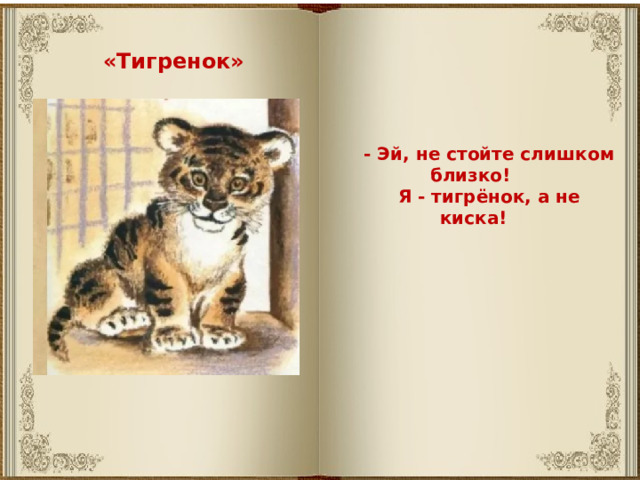 «Тигренок» - Эй, не стойте слишком близко! Я - тигрёнок, а не киска! 