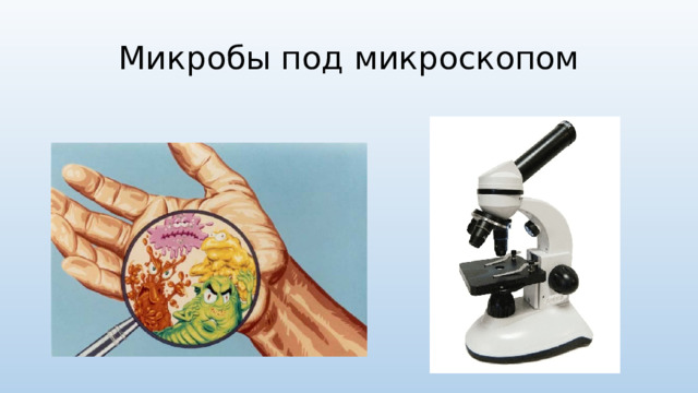 Микробы под микроскопом 
