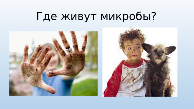 Где живут микробы? 