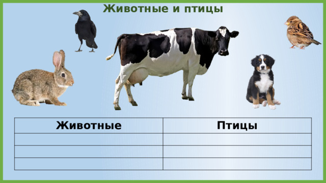 Животные и птицы Животные Птицы 