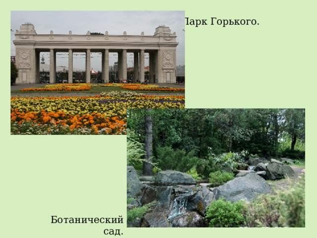 Парк Горького. Ботанический сад. 