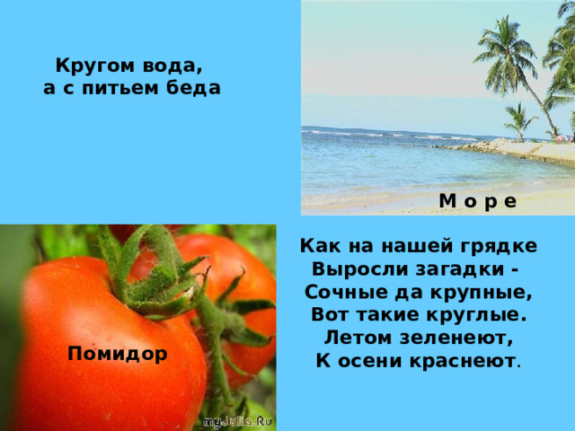 Кругом вода,  а с питьем беда М о р е Как на нашей грядке Выросли загадки - Сочные да крупные, Вот такие круглые. Летом зеленеют, К осени краснеют . Помидор 